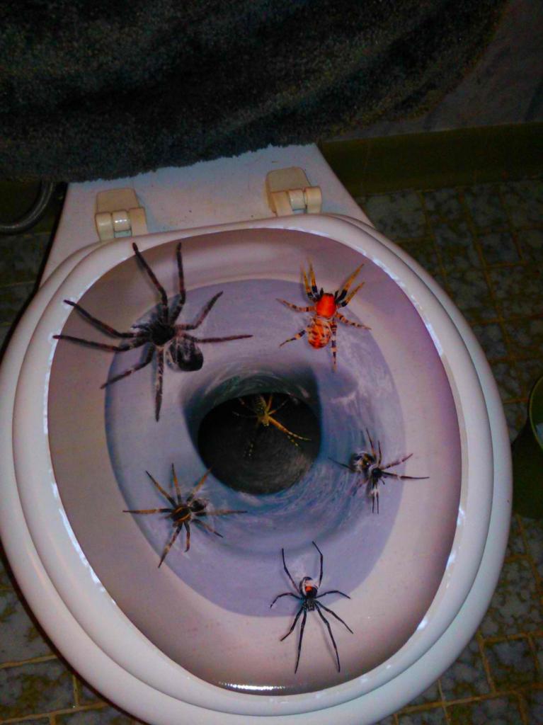 Spiders in toilet halloween decoration