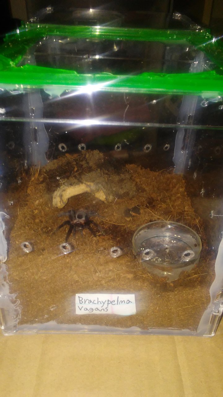 Successful rehouse