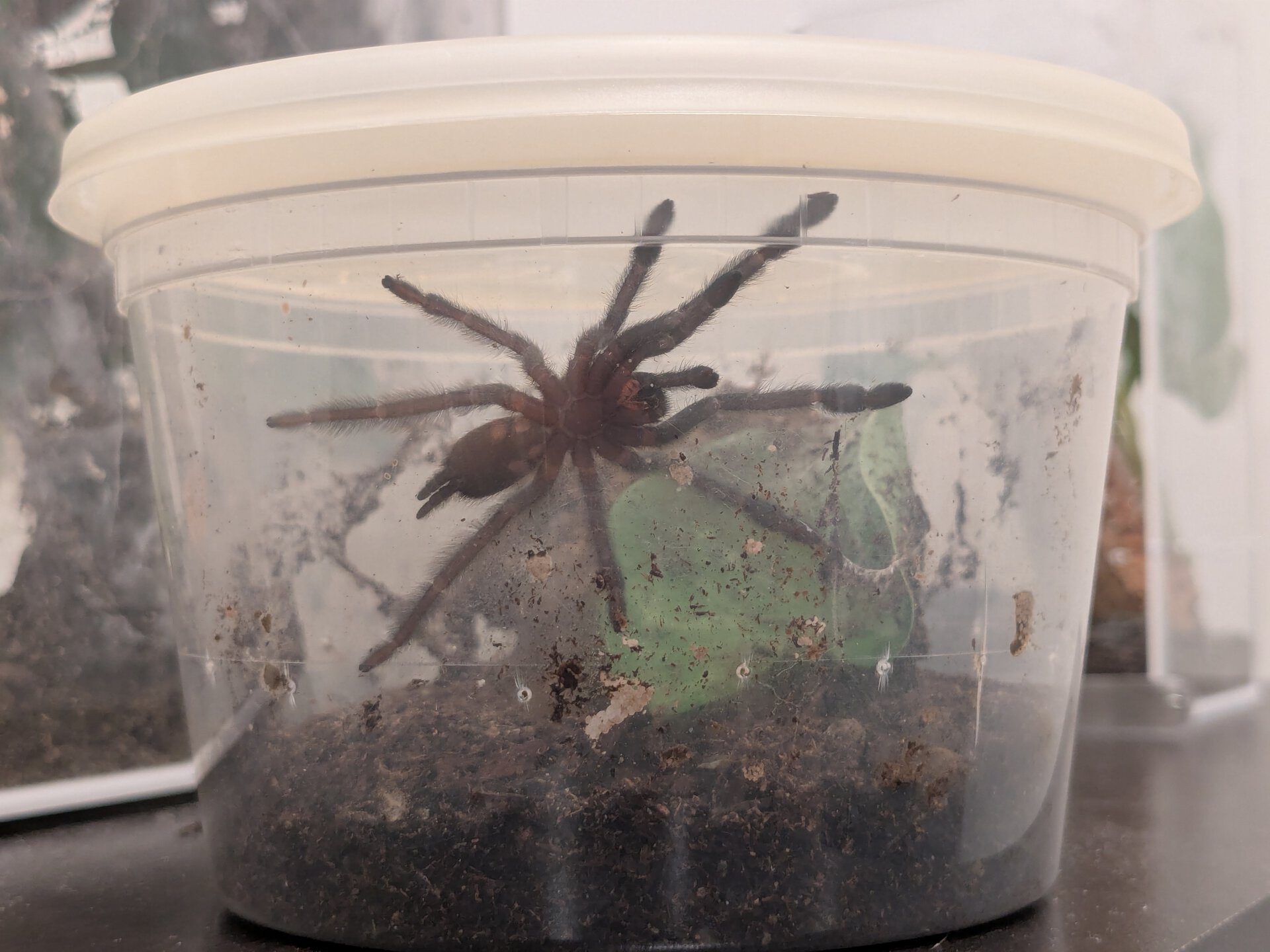 T3 hits #1 on the "overdue for a rehouse" list