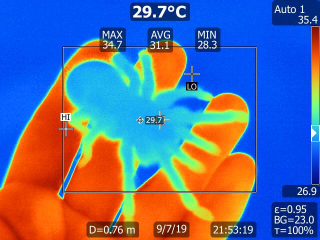Thermal image of T